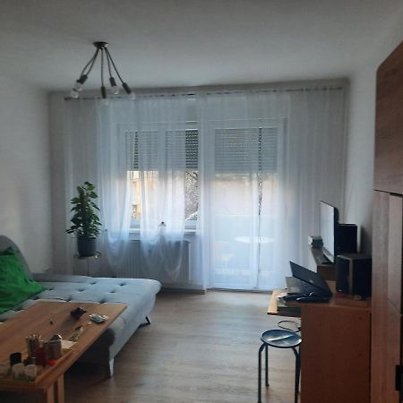 Schone Wohnung In Der Grazer Innenstadt Dış mekan fotoğraf