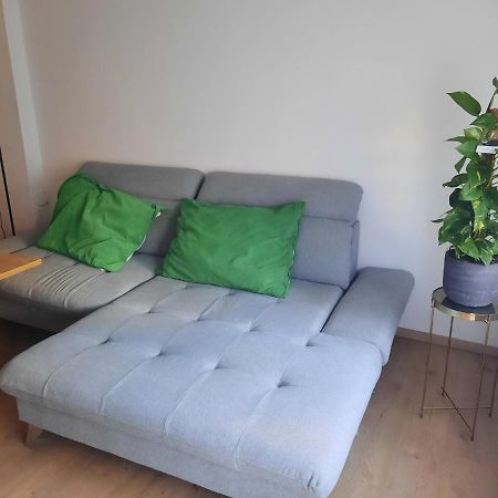 Schone Wohnung In Der Grazer Innenstadt Dış mekan fotoğraf