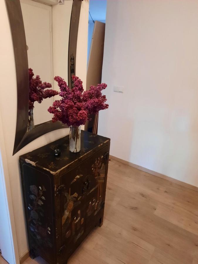 Schone Wohnung In Der Grazer Innenstadt Dış mekan fotoğraf